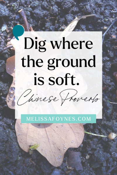 Dig Where the Ground is Soft - Chinese Proverb